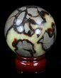 Polished Septarian Sphere #36067-1